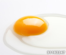 卵の写真素材