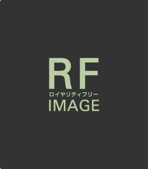 RF（ロイヤリティフリー写真）