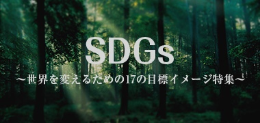 SDGs Eς邽߂17̖ڕWC[WW