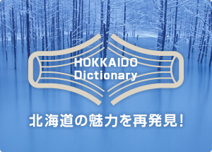 kCW `HOKKAIDO DICTIONARY`