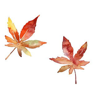 透き色 〜小さな葉っぱに、秋色にじむ〜