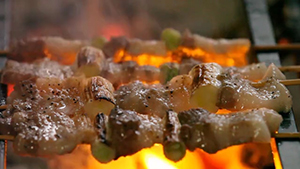 特産物 バーベキュー 焼肉 焼き鳥 豚肉 日本 北海道 スタイル 動画 カラーイメージ 横位置 1月 テーマ 炭火焼き 2013年 イメージ 冬