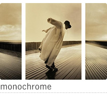 monochrome
