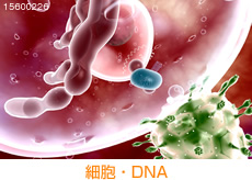 細胞・DNA