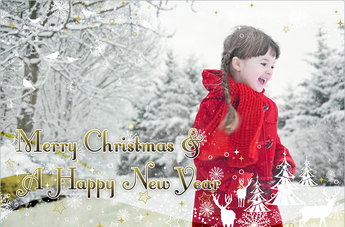 Merry Christmas & A Happy New Year
