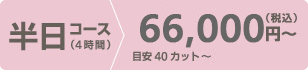 半日コース