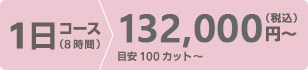 半日コース