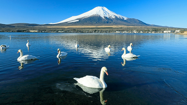 自然・風景