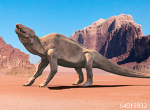 恐竜・化石