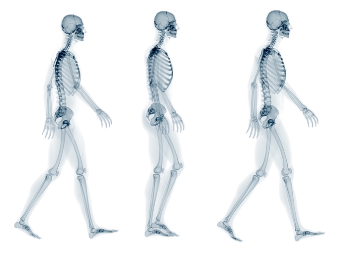 Skeleton walking, artwork