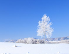 北海道特集 Hokkaido Dictionary 写真素材のimagenavi