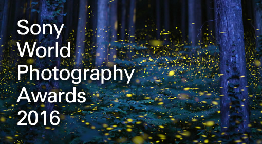 Sony World Photography Awards 2016