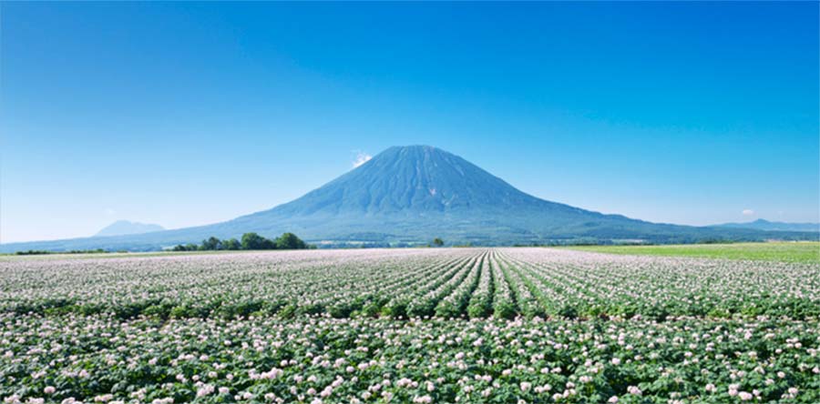 ストーリーを伝える Sustainable na CALENDAR 「日本で最も美しい村」