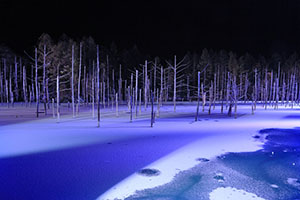 RMもオススメ 北海道　青い池ライトアップ
