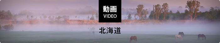 イメージナビの4K動画コンテンツ「北海道」
