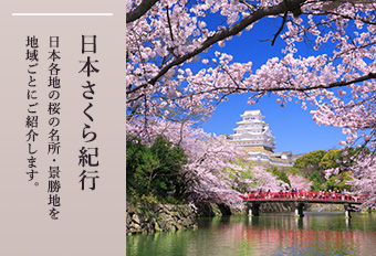 桜の名所・景勝地を日本各地・地域ごとにご紹介「日本さくら紀行」